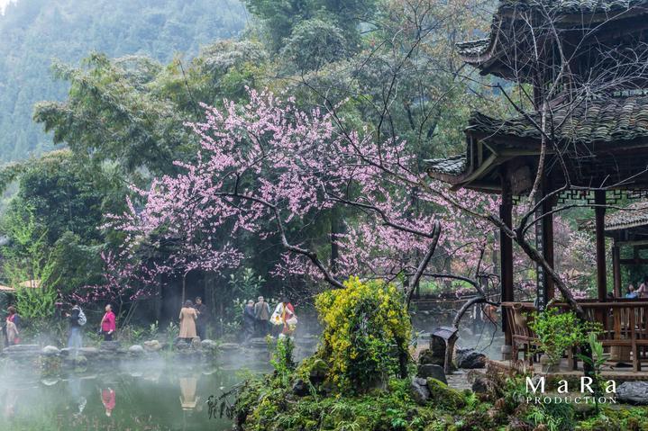 别样“李子柒”王雪卿：失恋后隐逸村林，将日子活成了童话